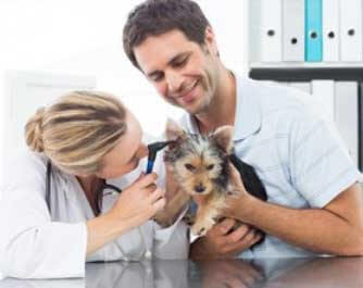 vétérinaire Tierarztpraxis am Kanal Studer Urs u. Christen Alain Biel/Bienne